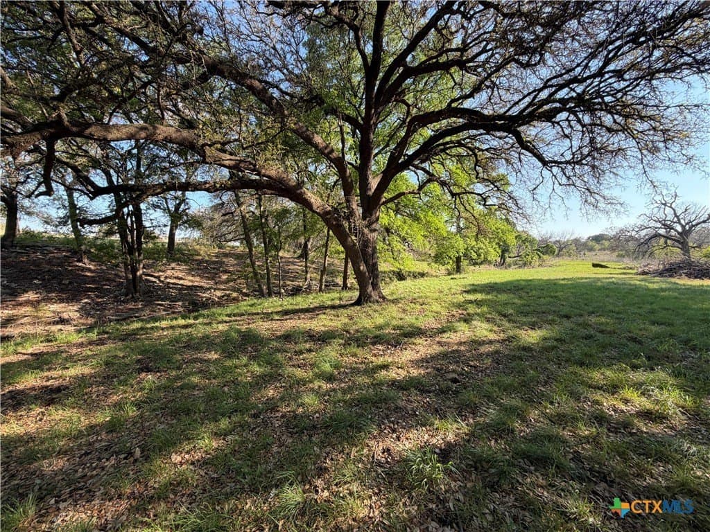 5 acres in Coryell County - photo 19