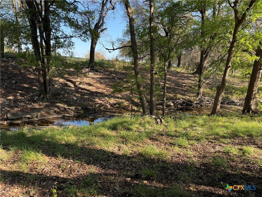 5 acres in Coryell County - photo 14