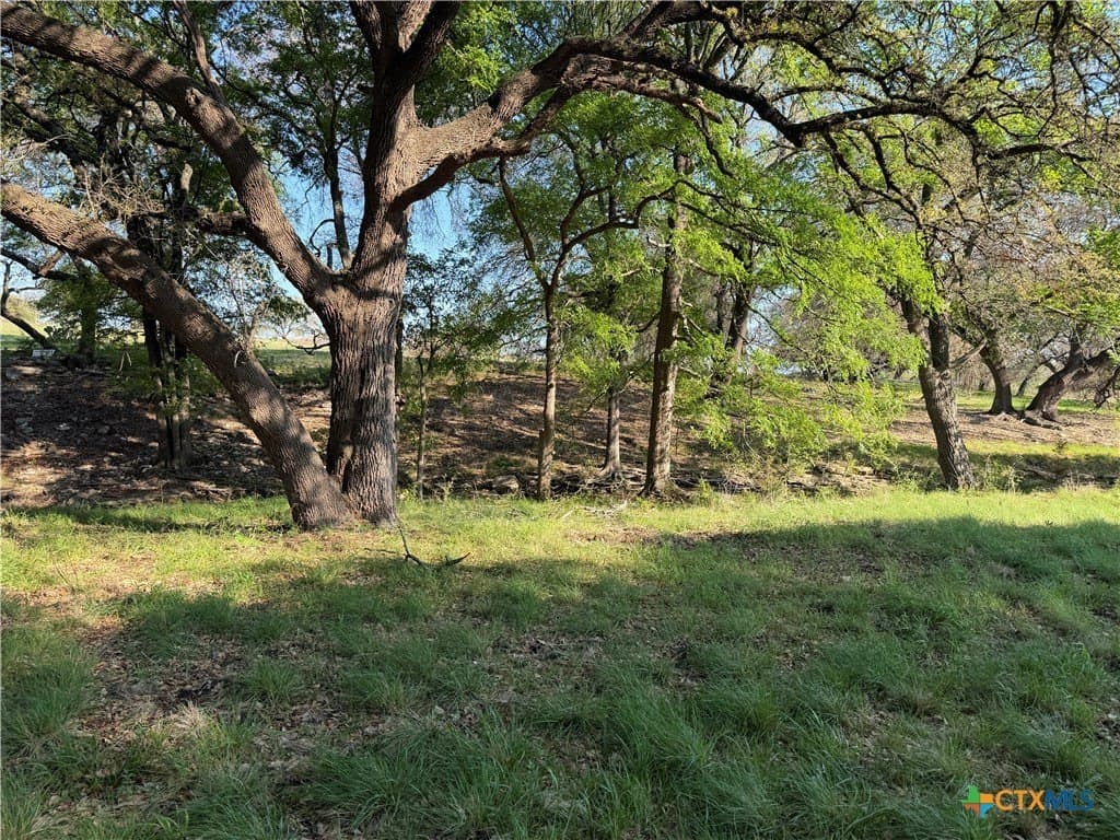 5 acres in Coryell County gallery image 2