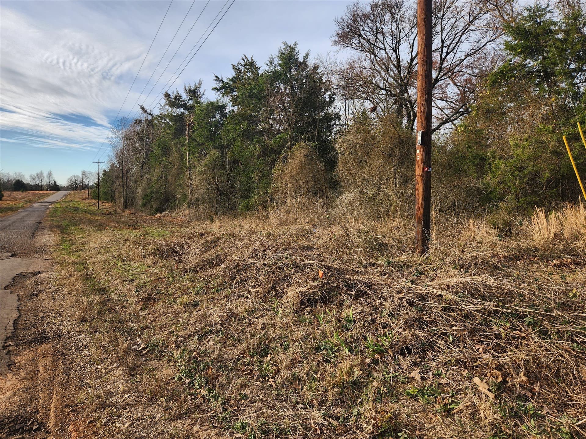 3.13 acres in Hopkins County gallery image 2
