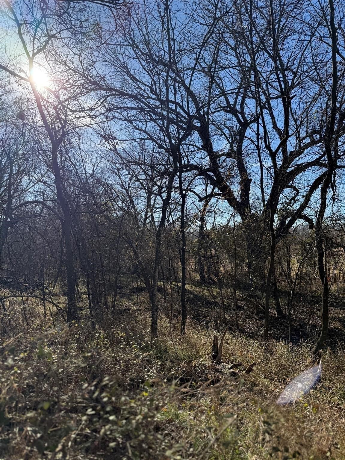 5.2 acres in Cooke County - photo 25