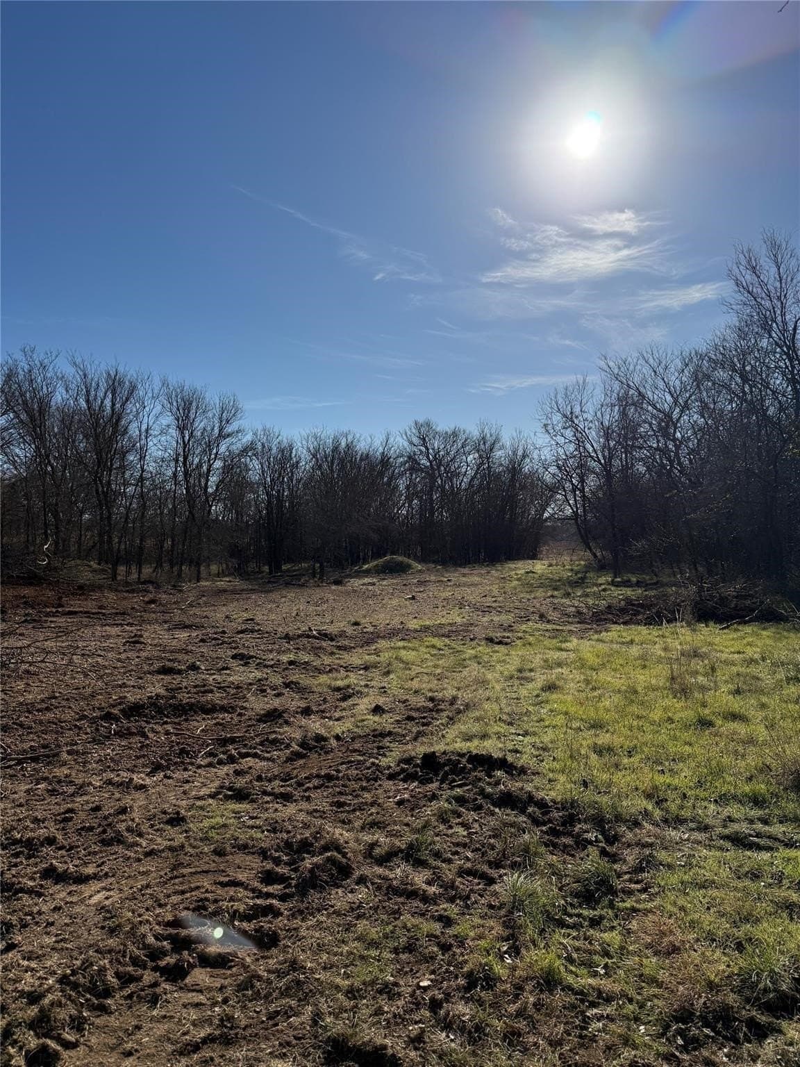 5.2 acres in Cooke County - photo 7