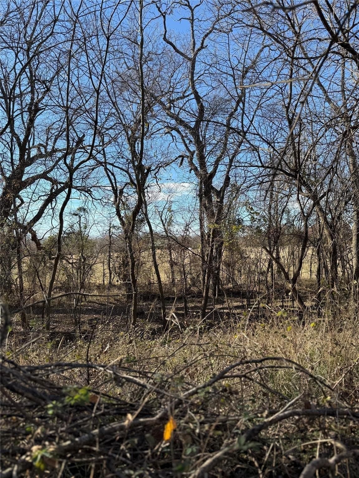 5.2 acres in Cooke County - photo 8