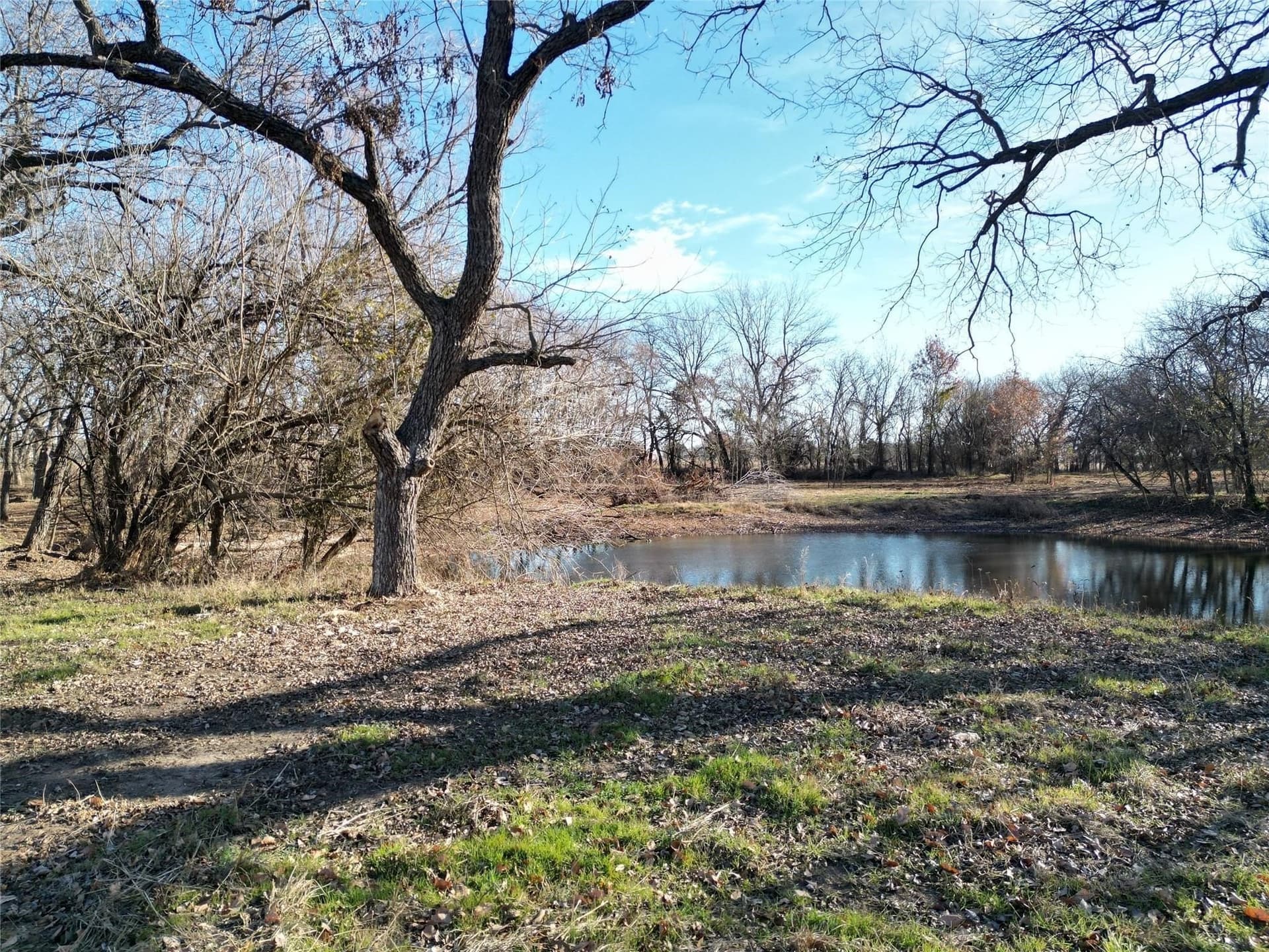 5.2 acres in Cooke County - photo 13