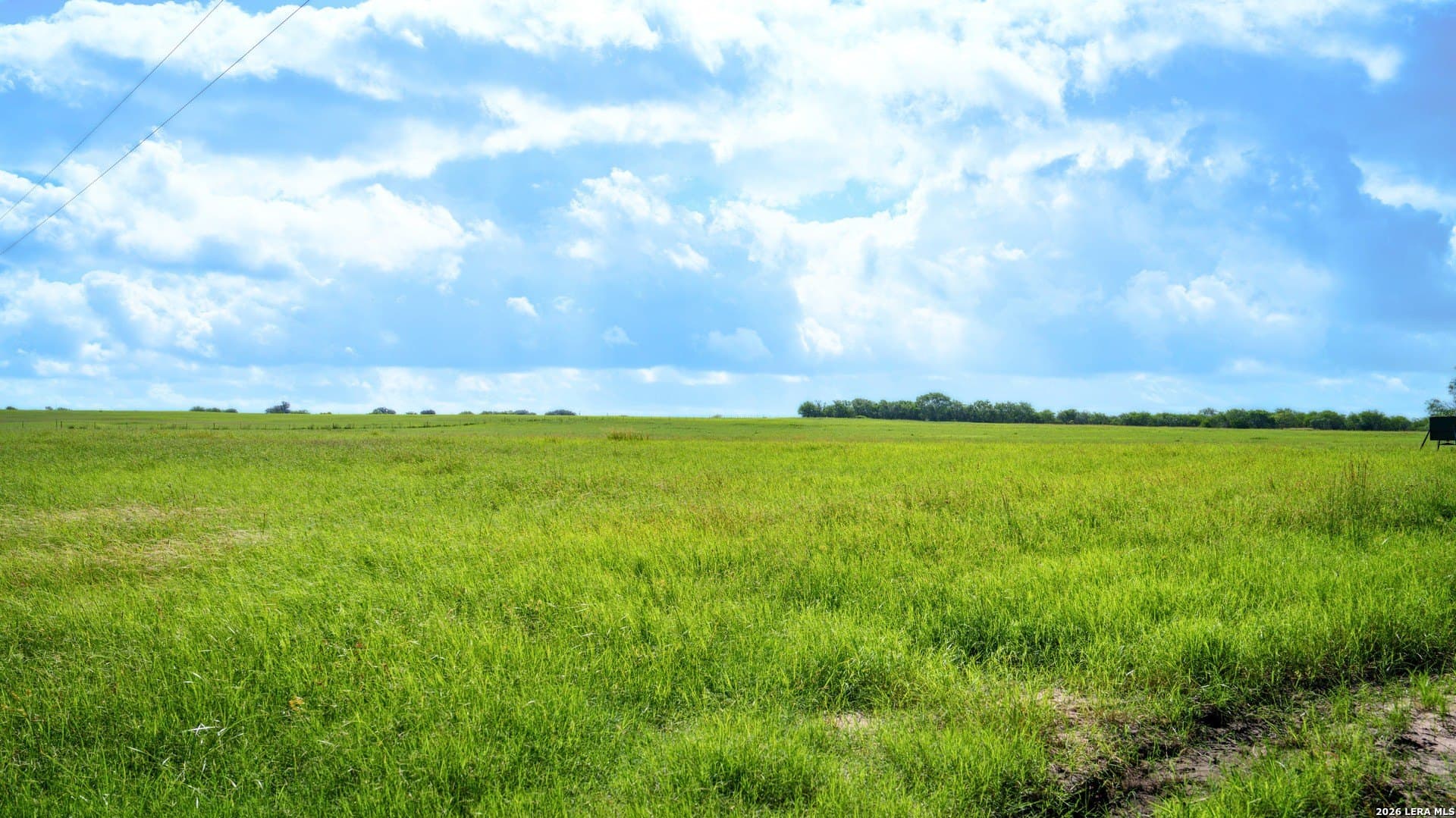 43.02 acres in Karnes County - photo 17