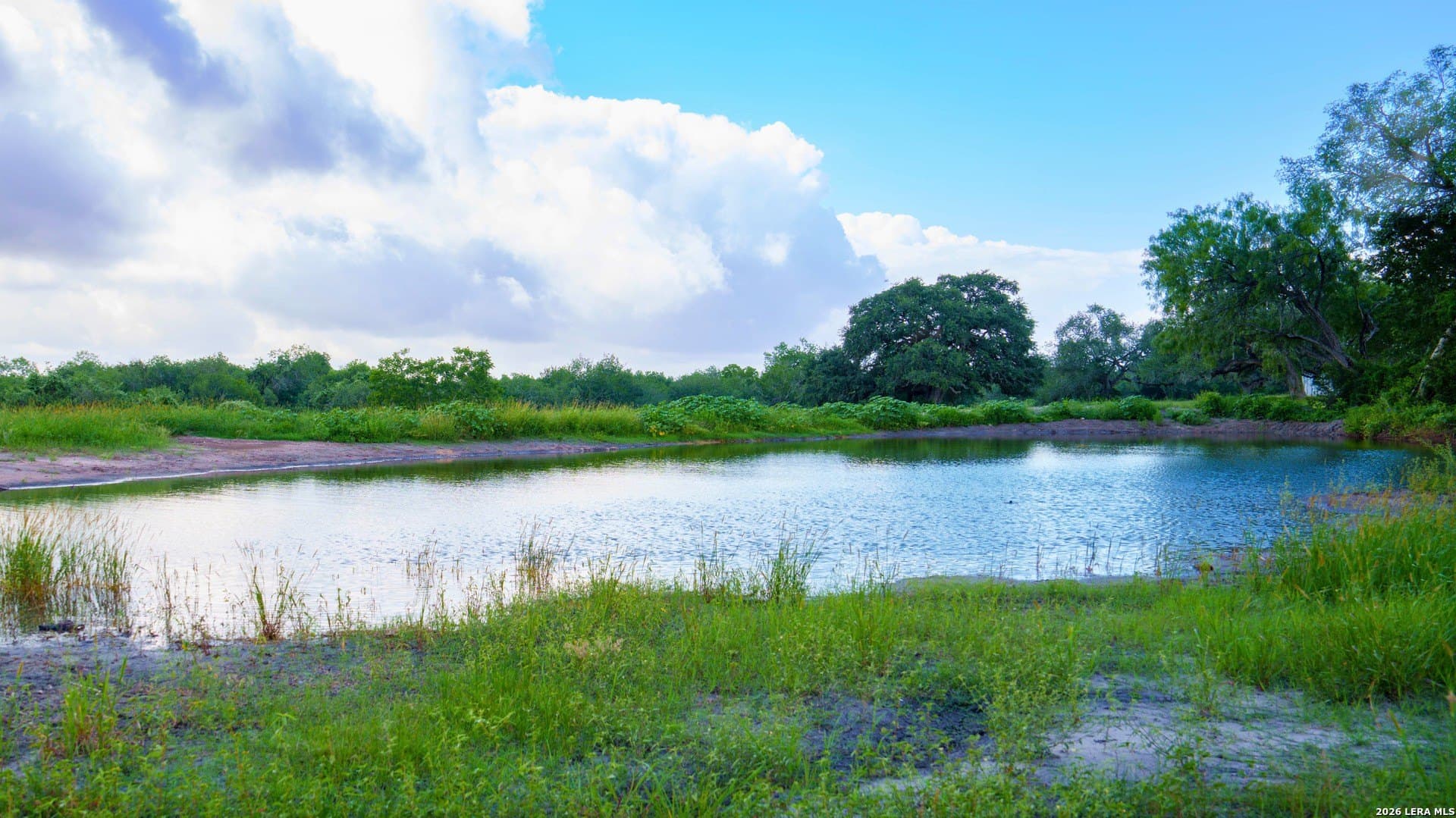 43.02 acres in Karnes County - photo 14
