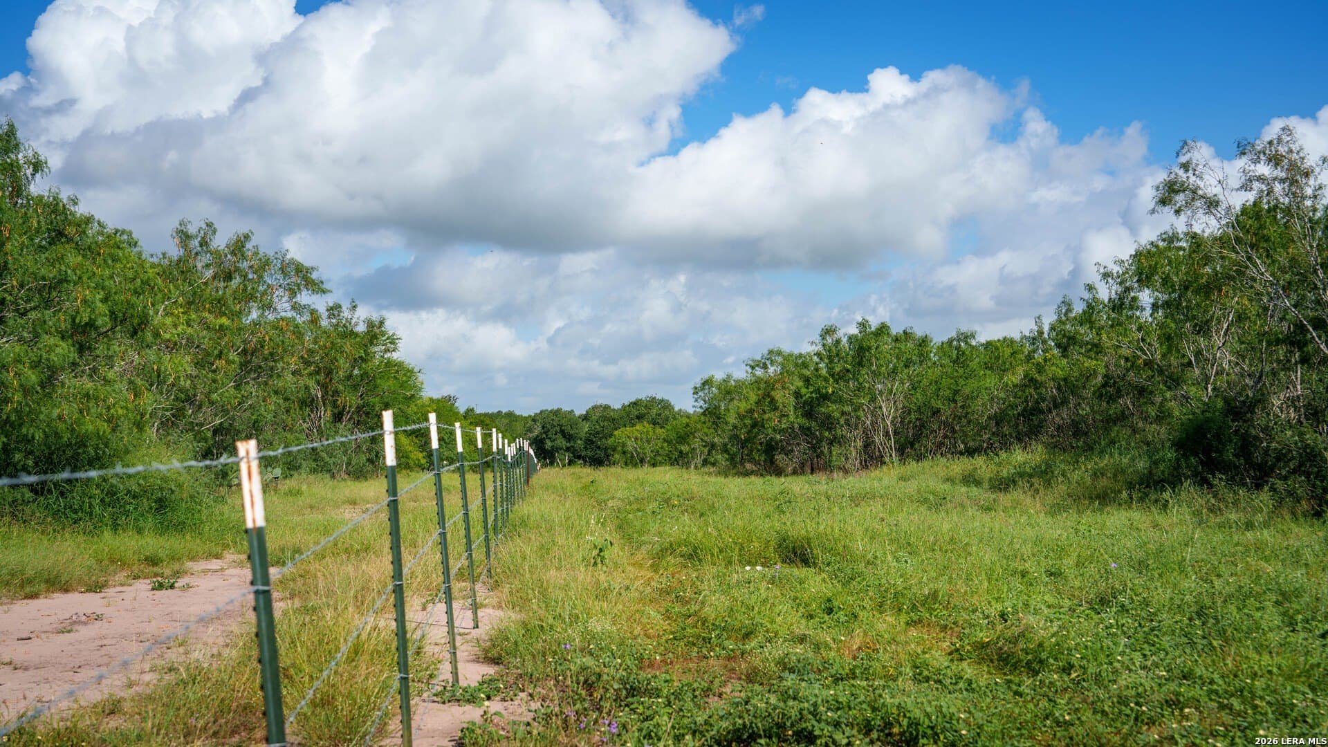 43.02 acres in Karnes County - photo 25