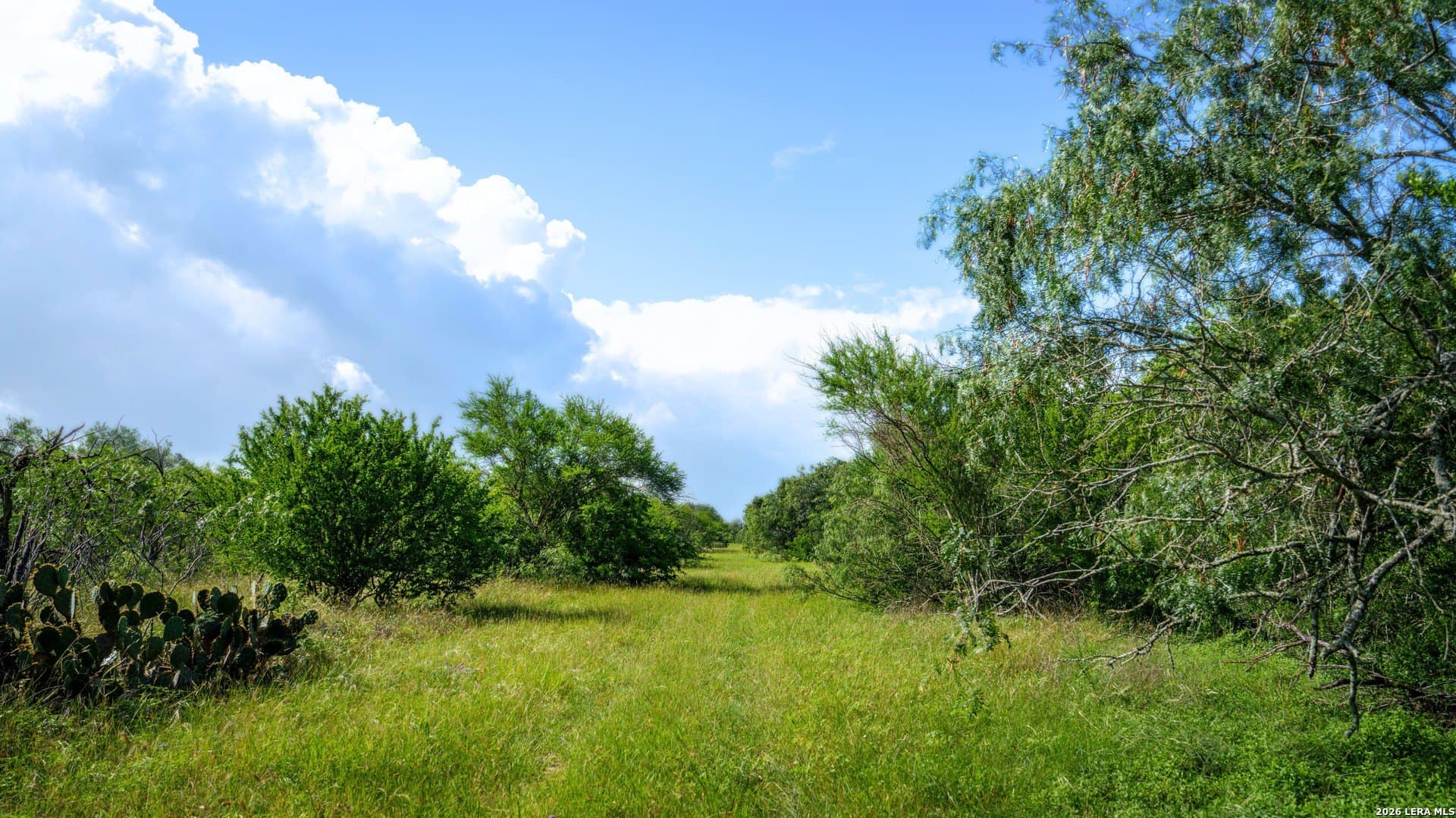 43.02 acres in Karnes County - photo 18