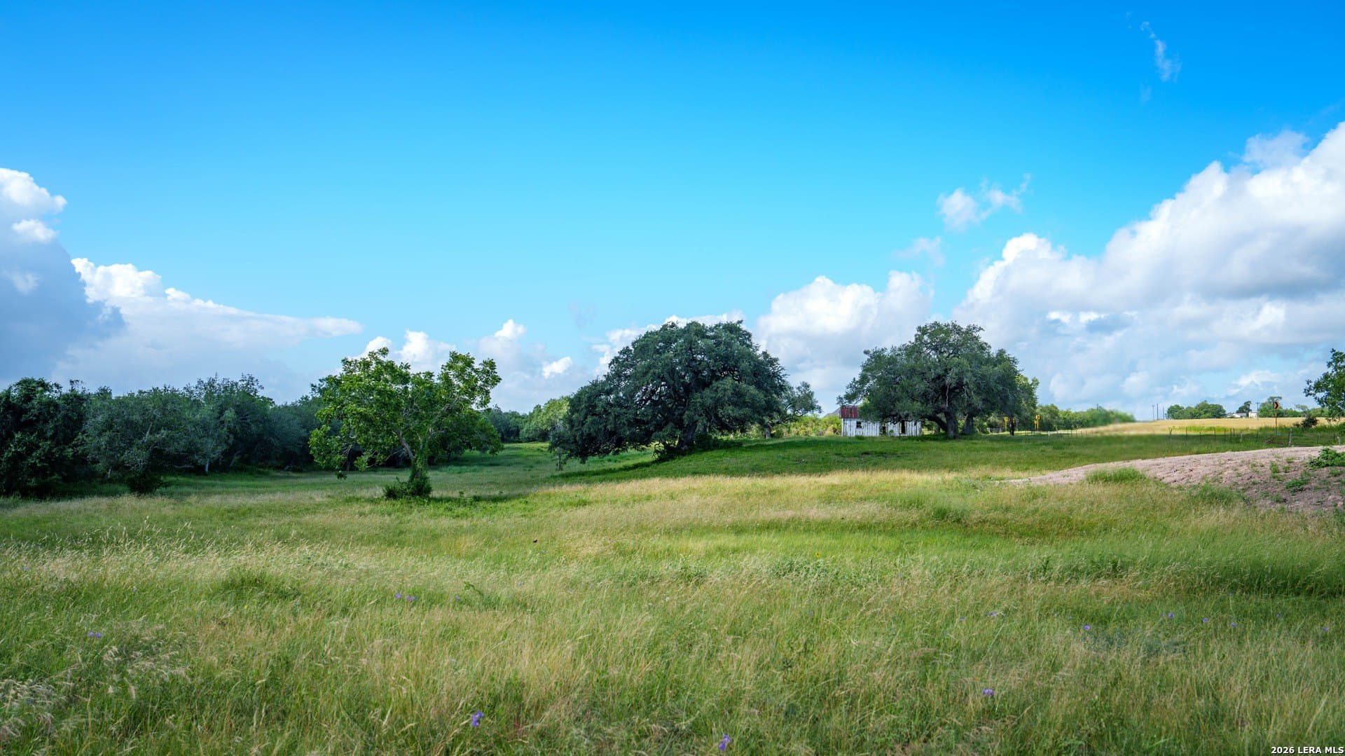 43.02 acres in Karnes County gallery image 3