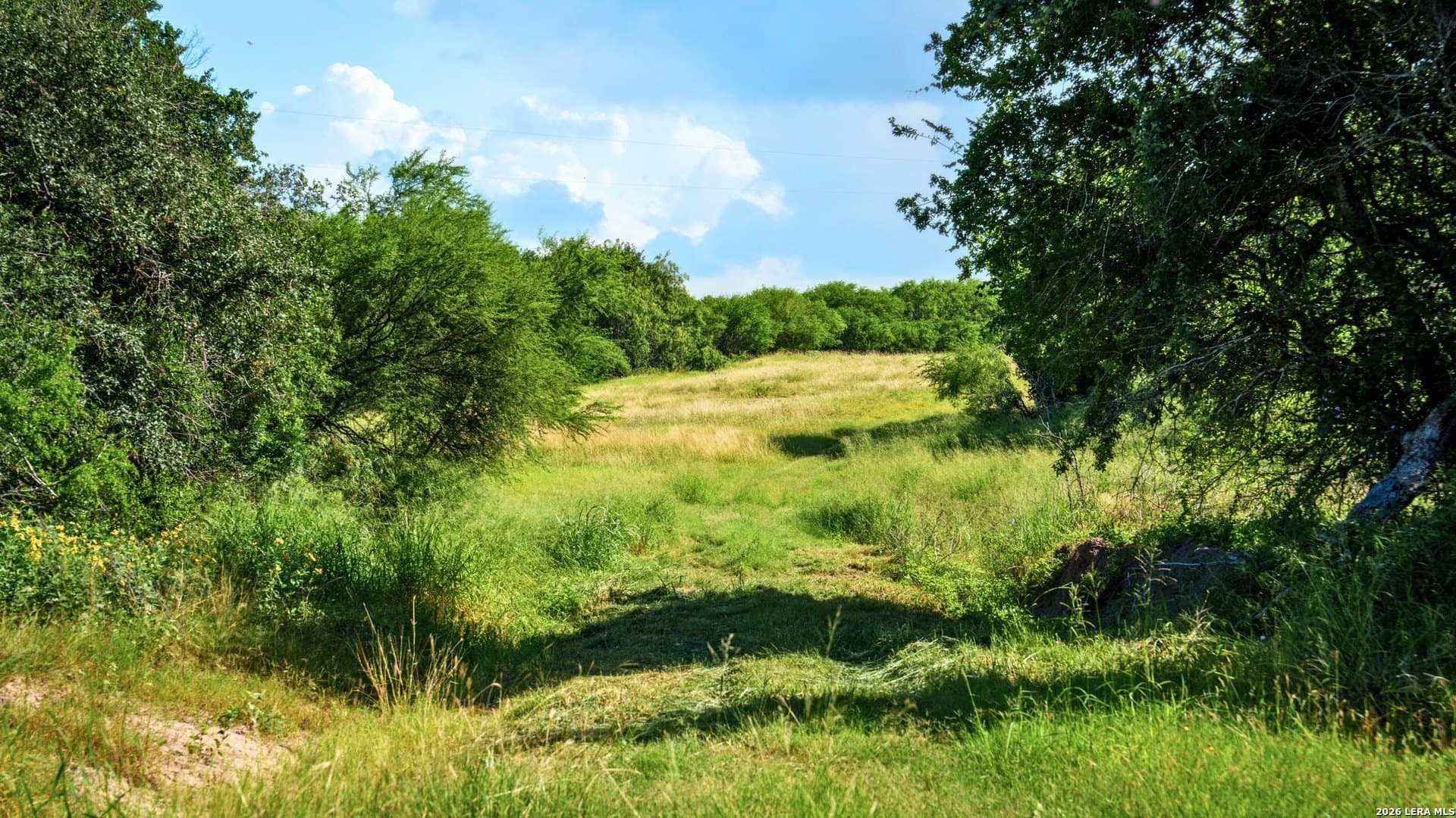 43.02 acres in Karnes County - photo 16