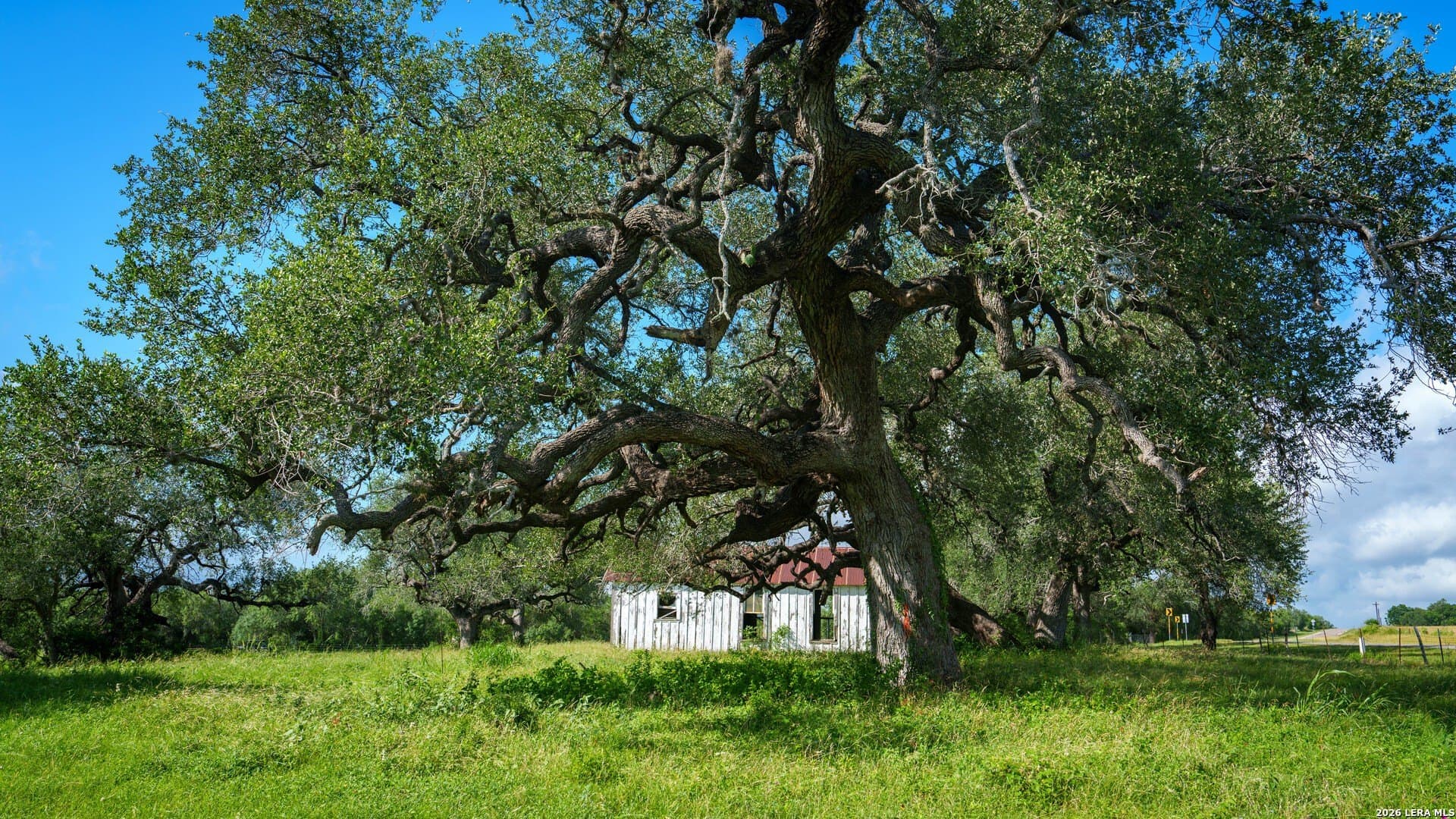 43.02 acres in Karnes County - photo 24