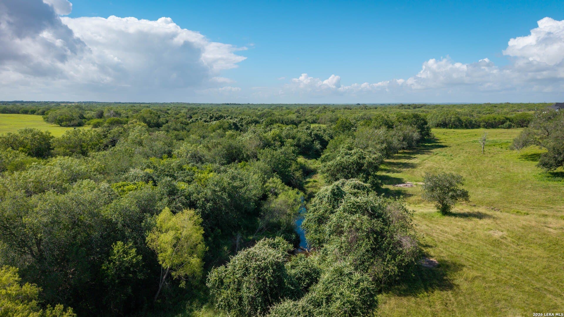 43.02 acres in Karnes County featured view