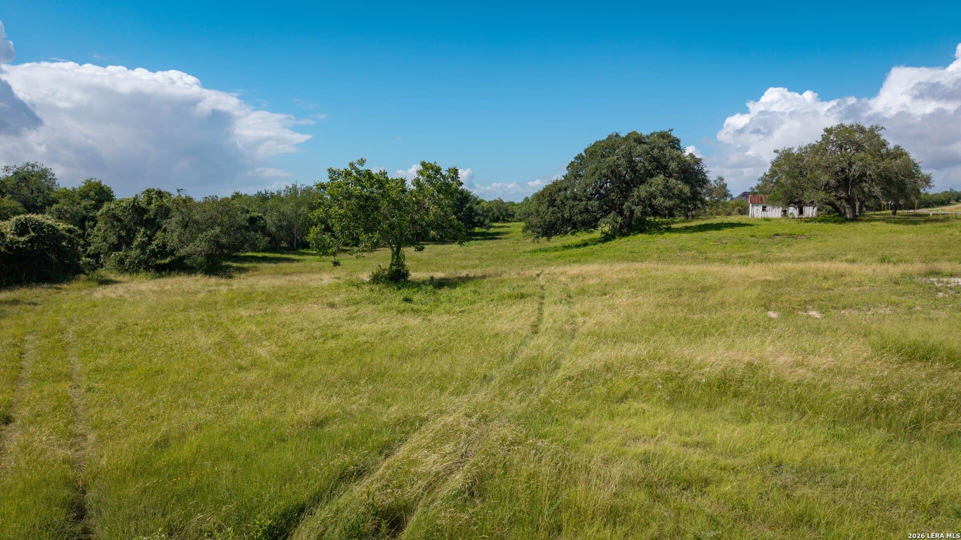 43.02 acres in Karnes County - photo 27