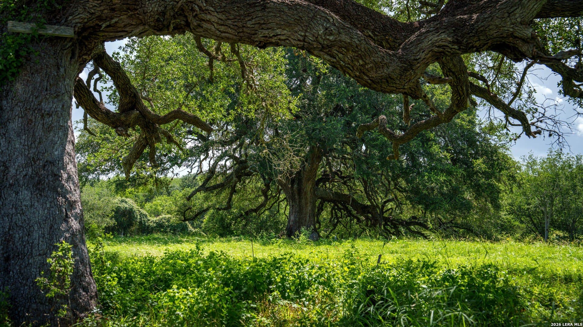 43.02 acres in Karnes County - photo 47