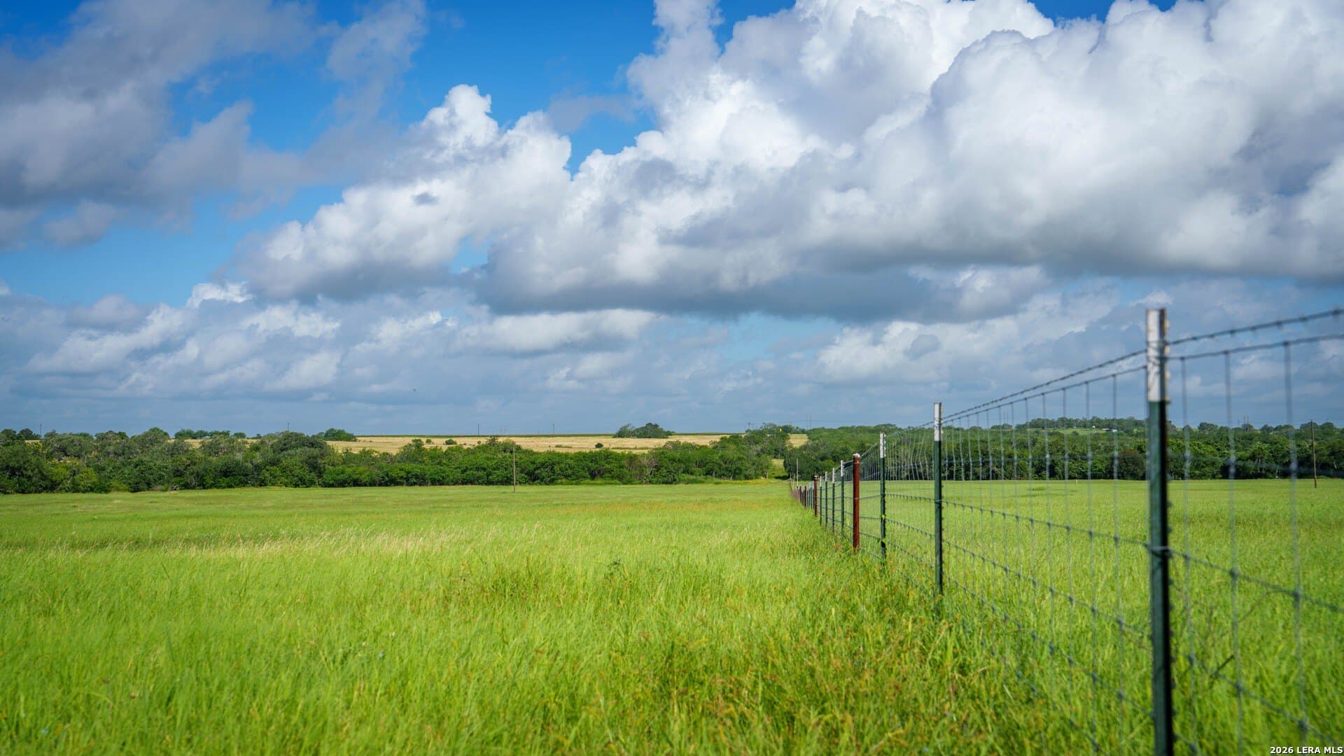 43.02 acres in Karnes County - photo 26