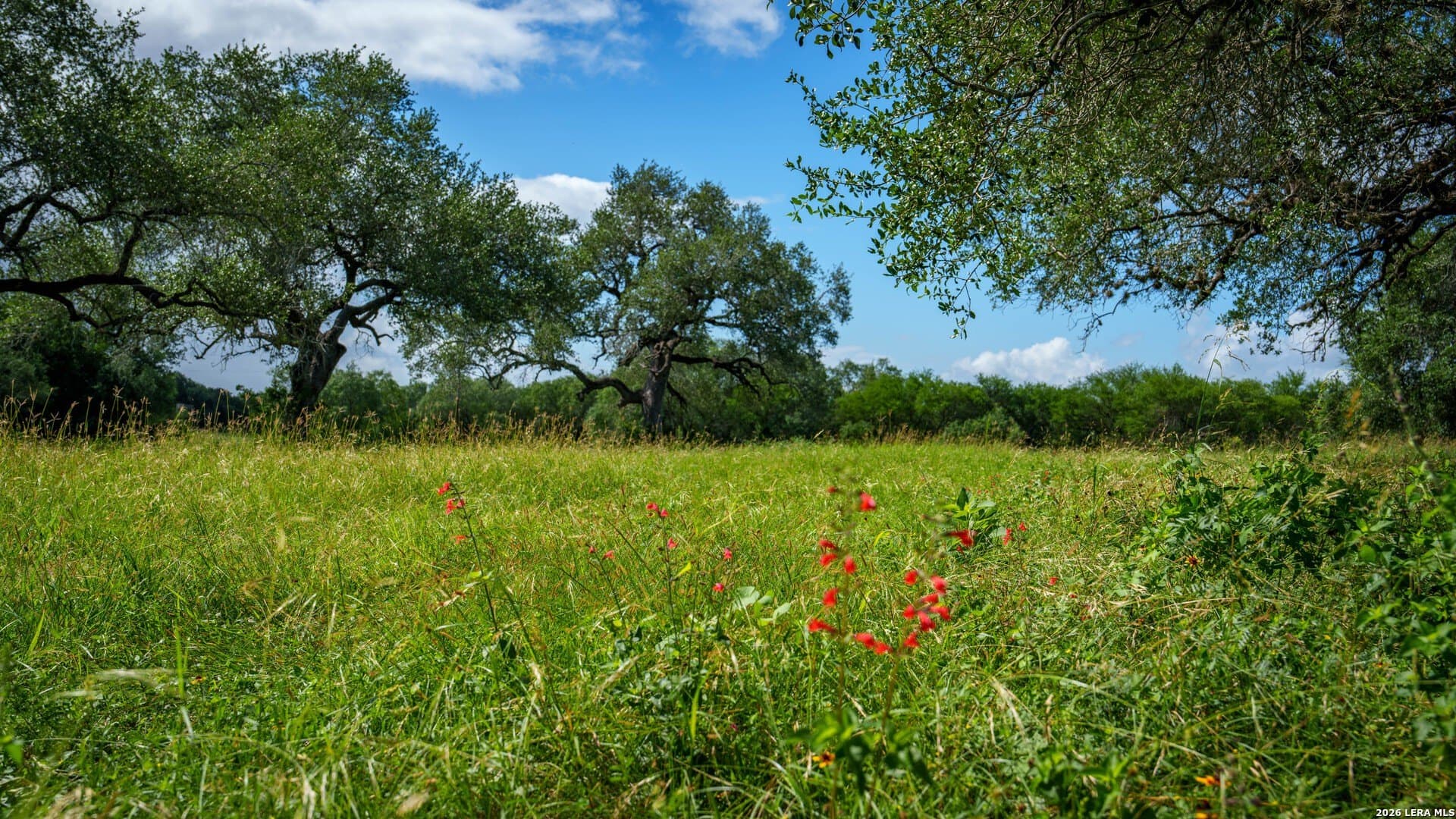 43.02 acres in Karnes County - photo 40