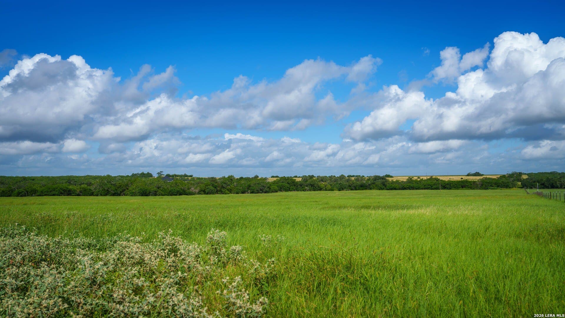 43.02 acres in Karnes County - photo 7