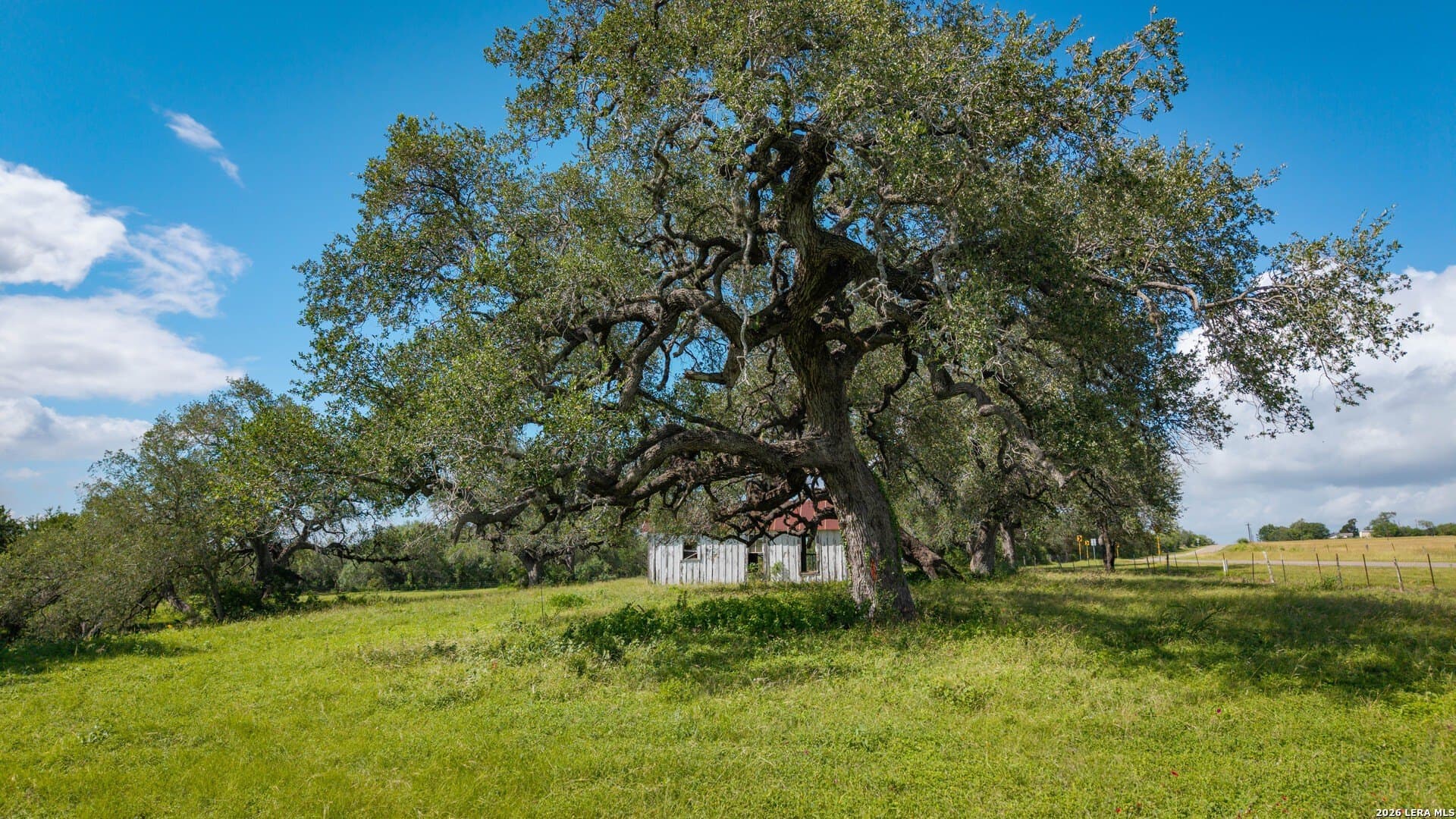 43.02 acres in Karnes County - photo 13