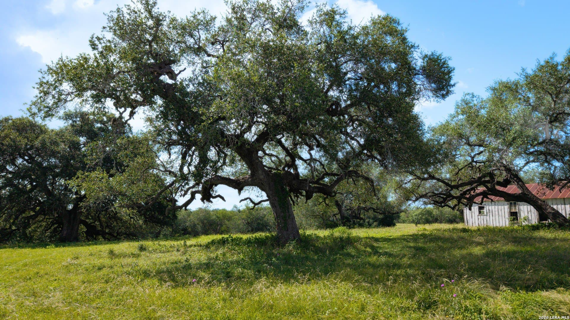 43.02 acres in Karnes County - photo 19