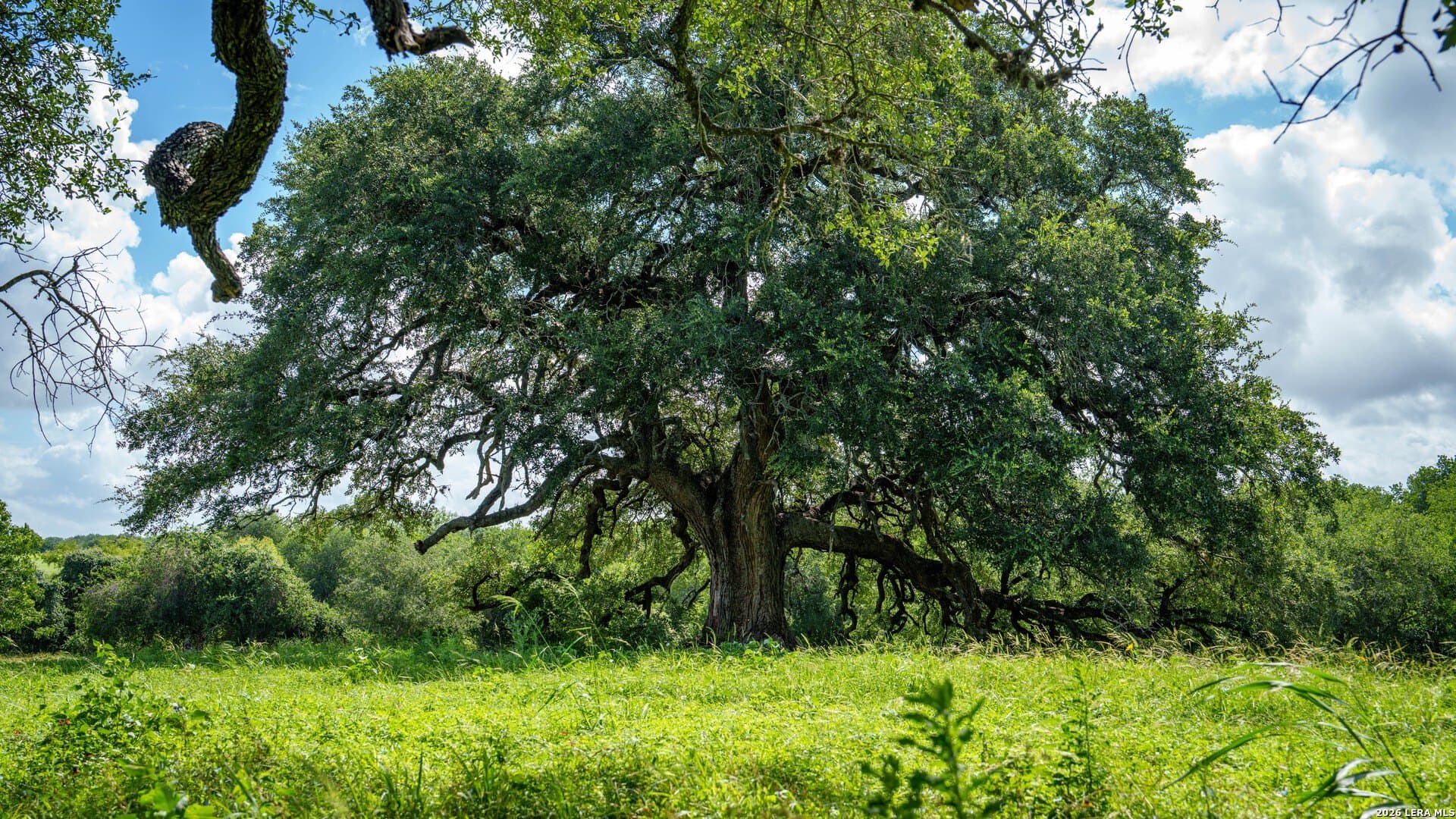 43.02 acres in Karnes County - photo 38