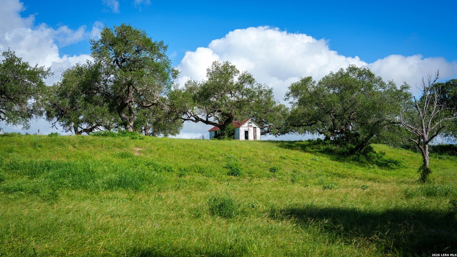 43.02 acres in Karnes County gallery image 2