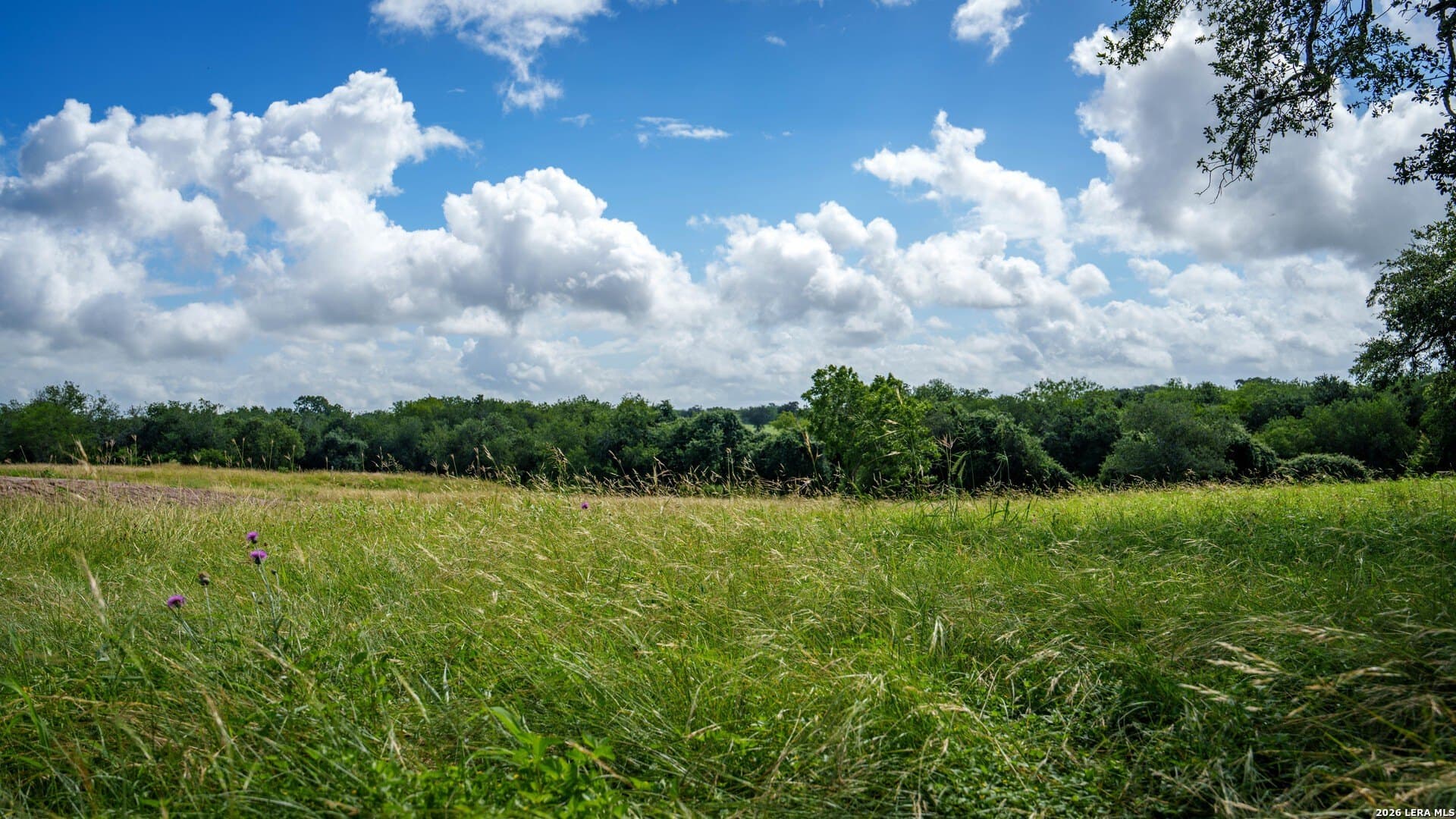 43.02 acres in Karnes County - photo 44