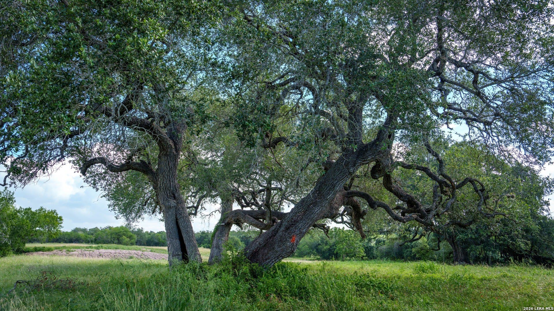 43.02 acres in Karnes County - photo 42