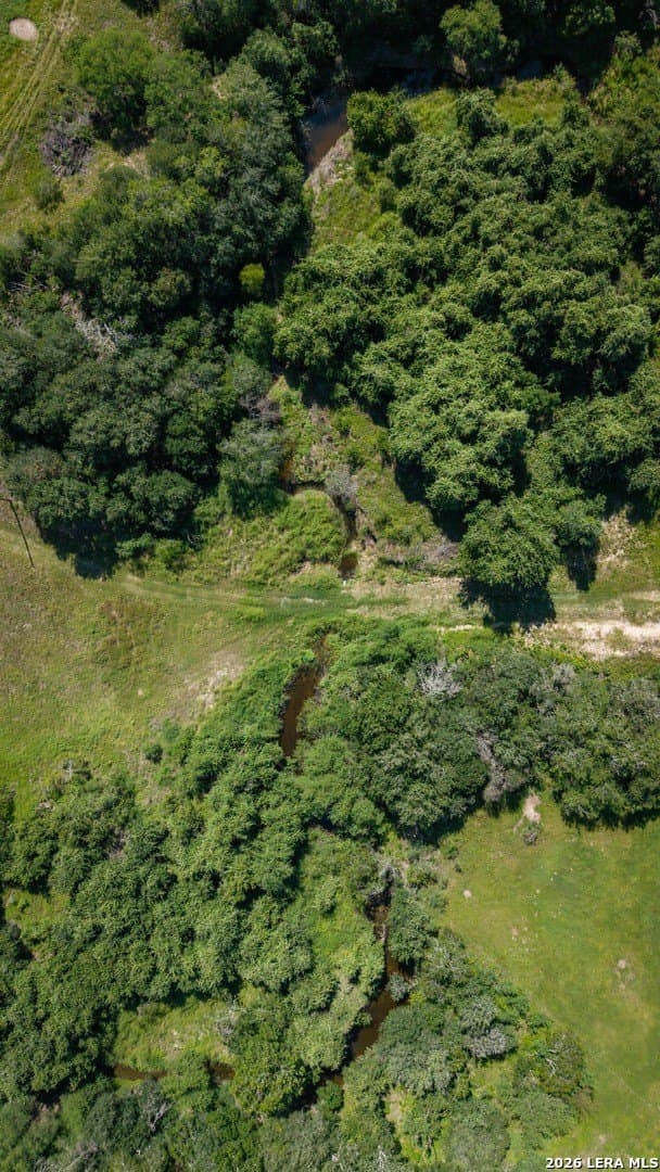 43.02 acres in Karnes County gallery image 4