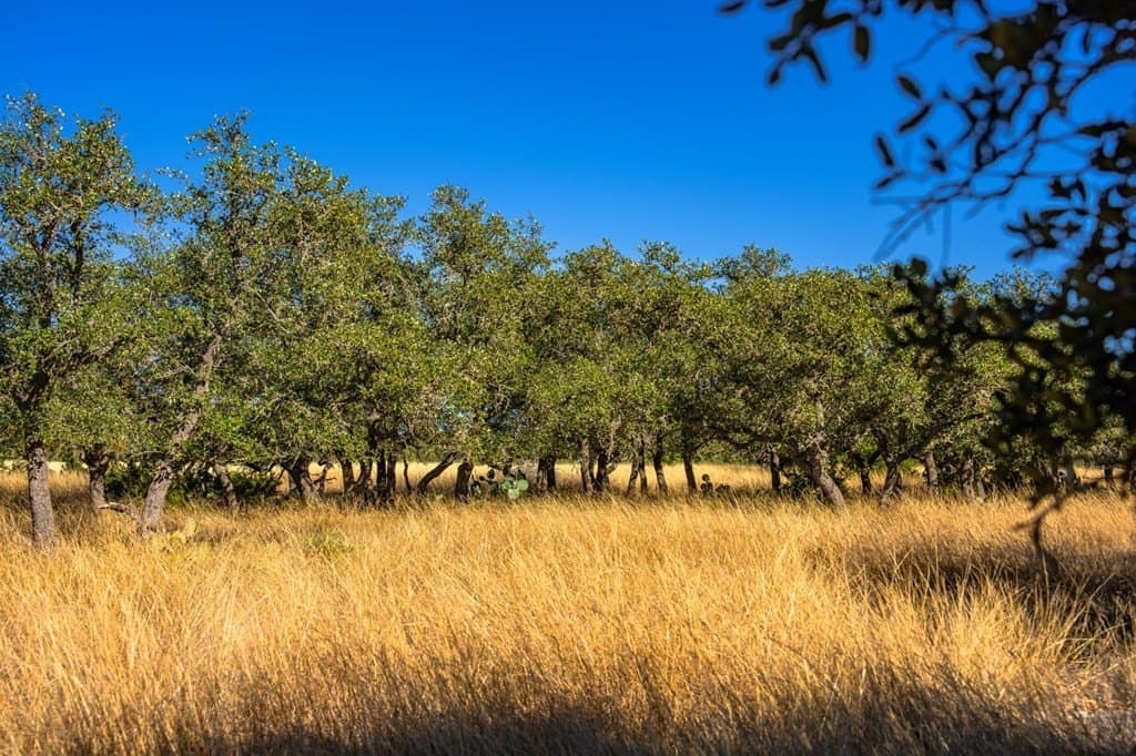 34.7 acres in Kimble County - photo 16