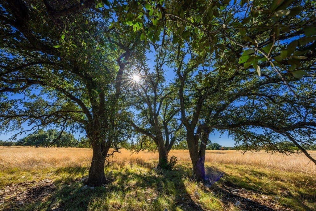 34.7 acres in Kimble County - photo 9