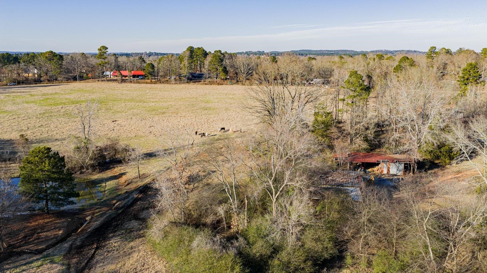 22.73 acres in Texas County - photo 8