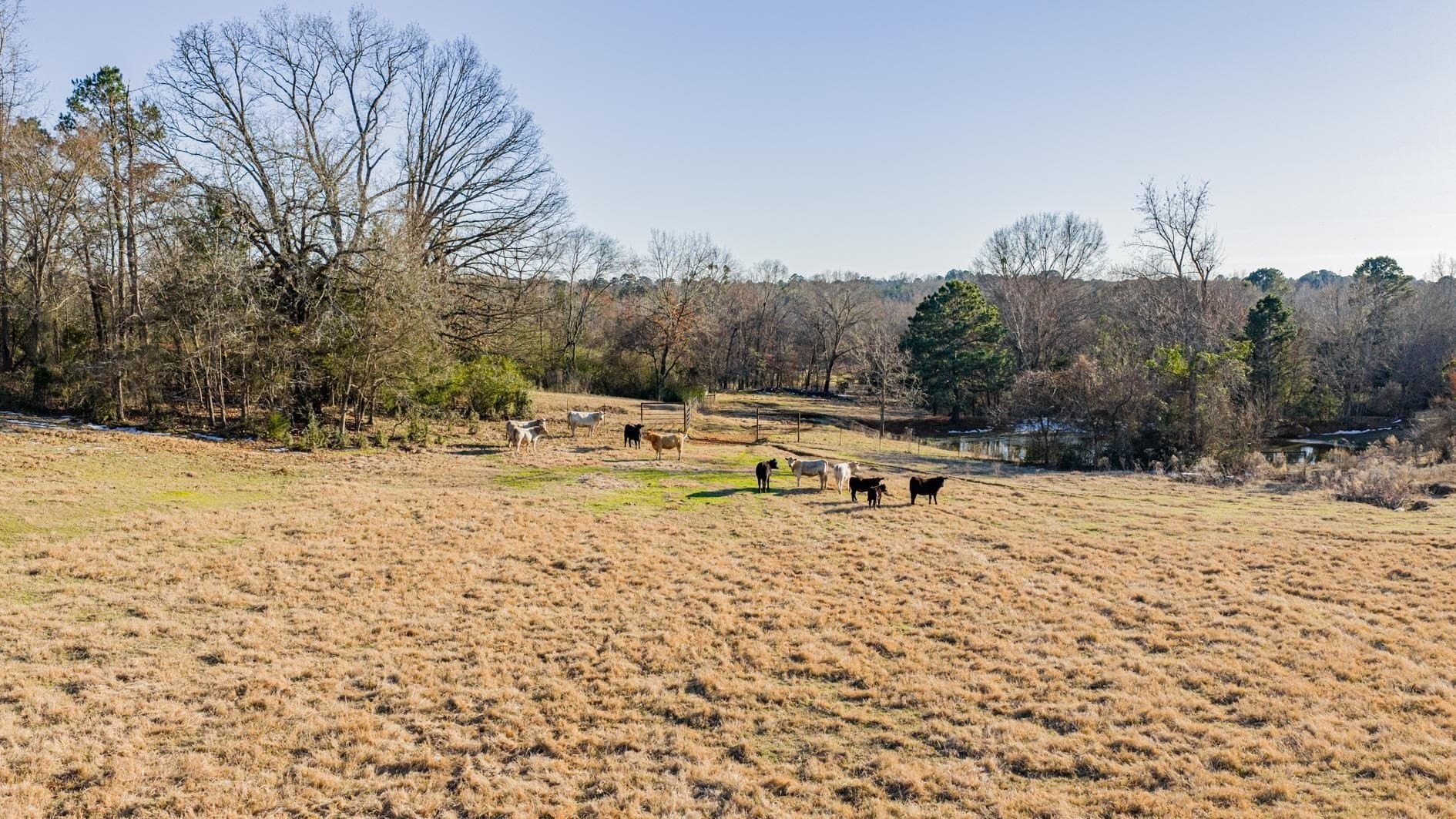 22.73 acres in Texas County - photo 11