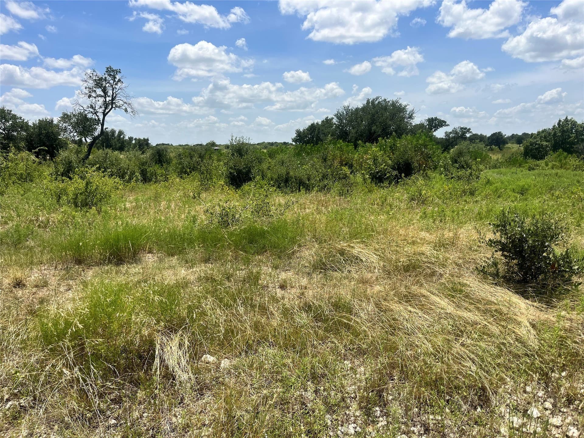 10.01 acres in Comanche County - photo 8