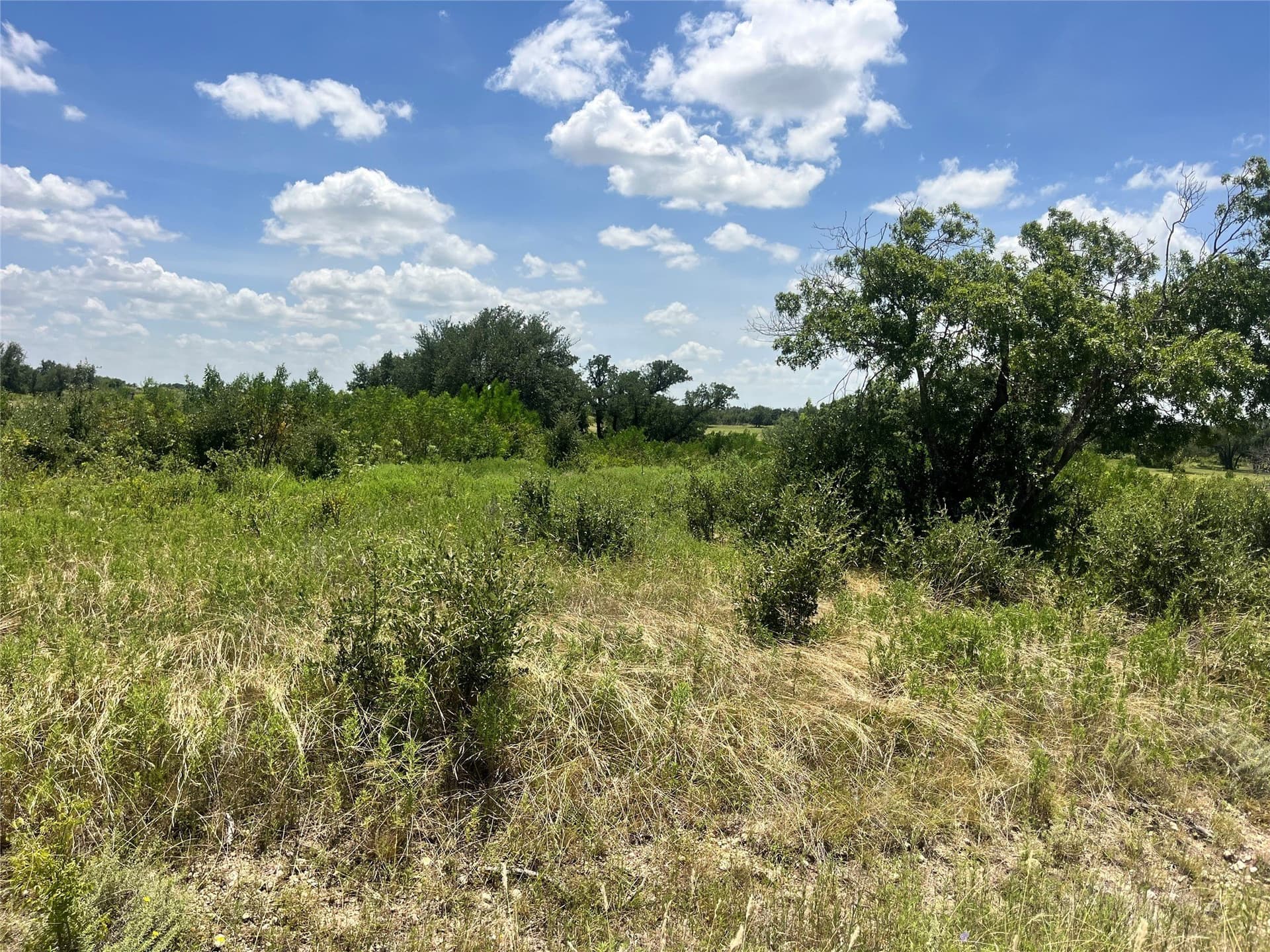 10.01 acres in Comanche County - photo 6