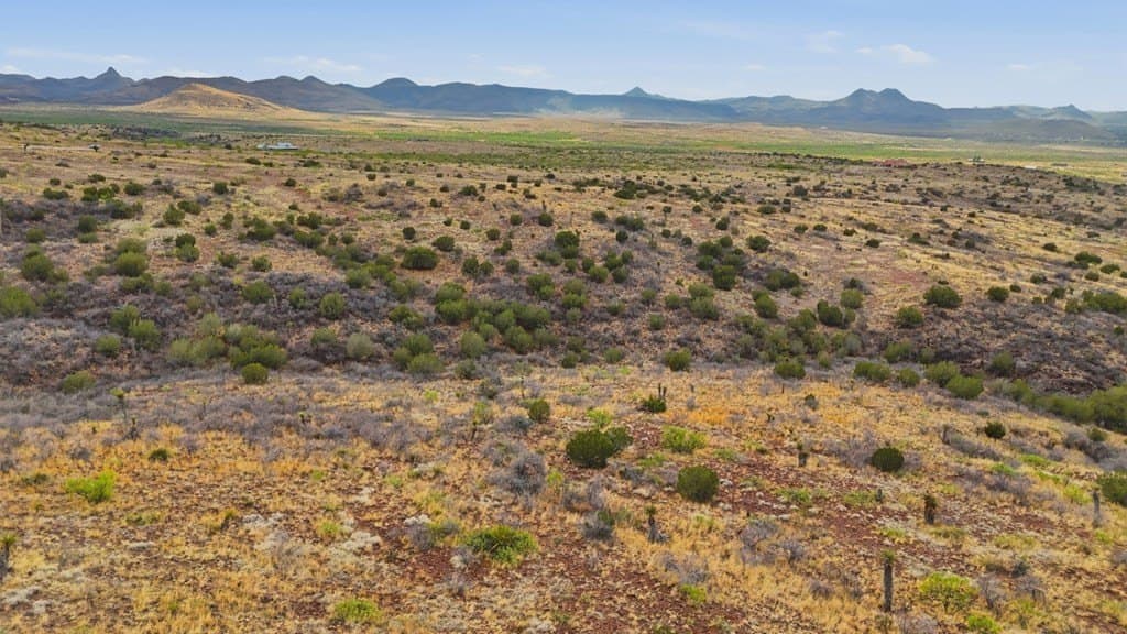 56 acres in Brewster County - photo 14