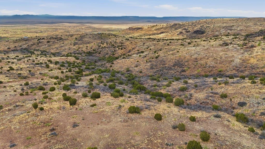 56 acres in Brewster County - photo 16