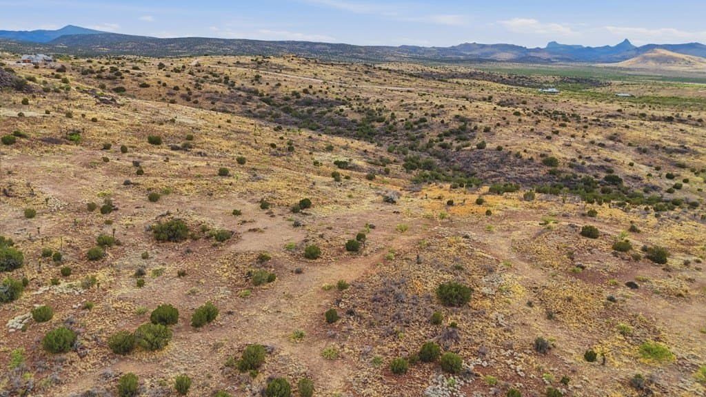 56 acres in Brewster County - photo 13