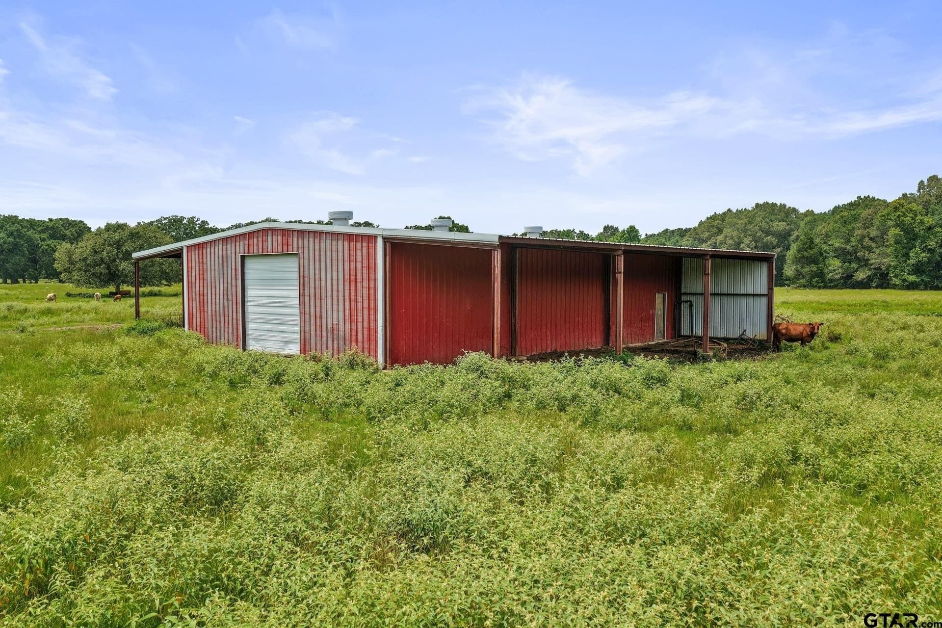 45 acres in Titus County - photo 33