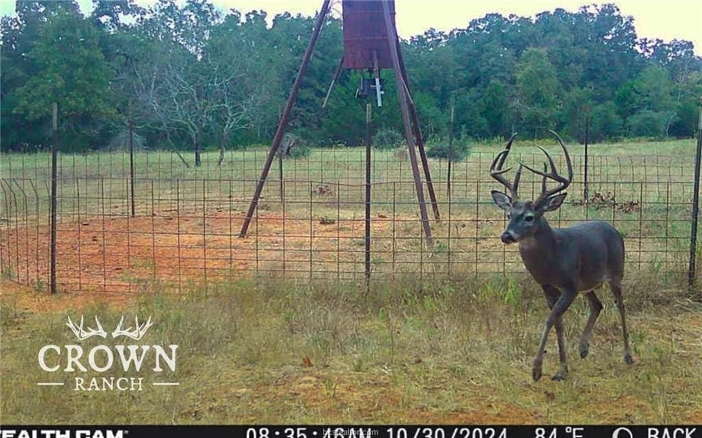 657 acres in Burleson County gallery image 4