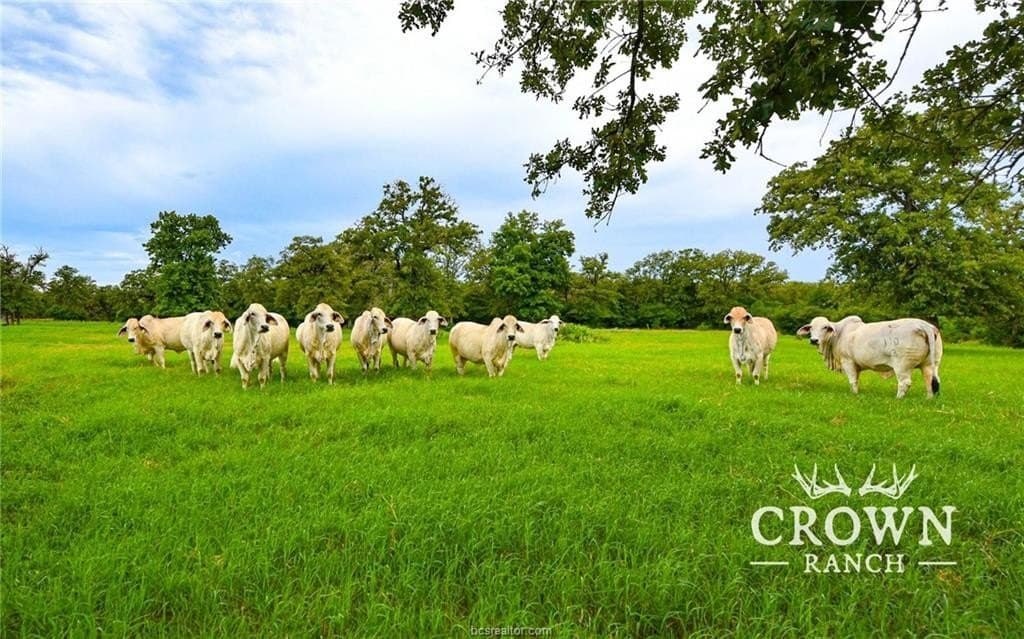 657 acres in Burleson County