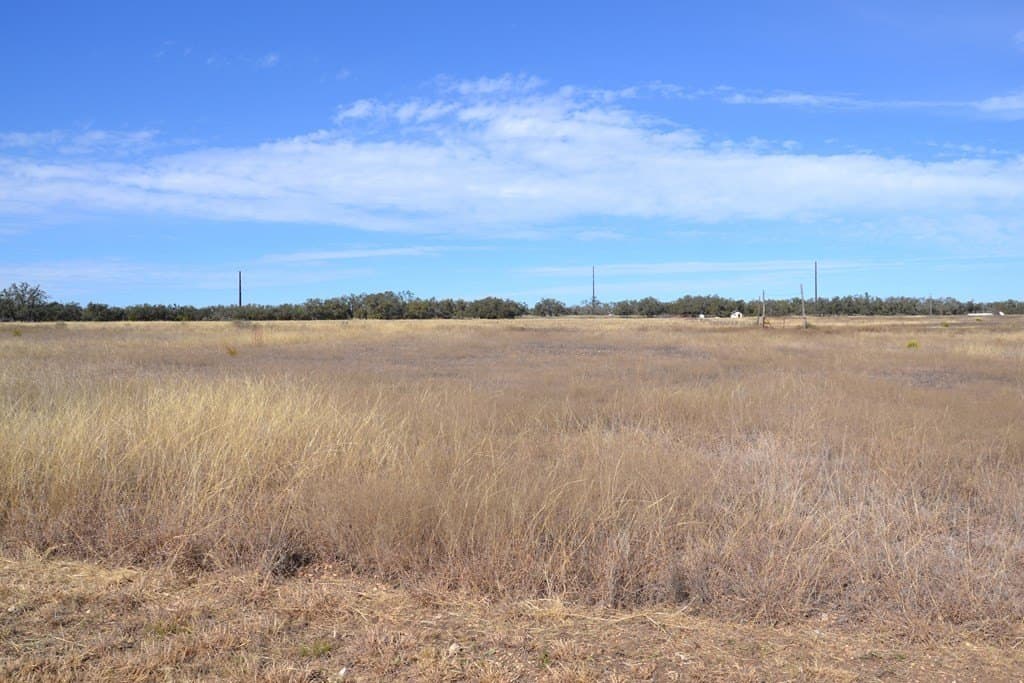 10.96 acres in Gillespie County gallery image 2