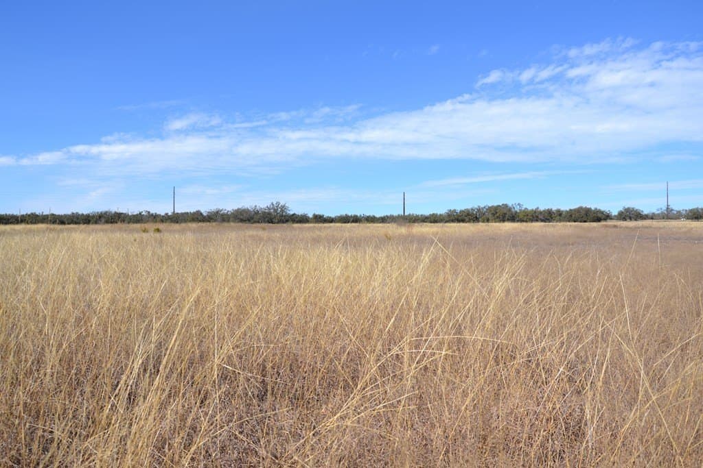 10.96 acres in Gillespie County featured view