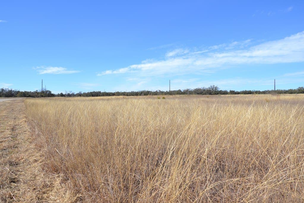 10.96 acres in Gillespie County gallery image 4