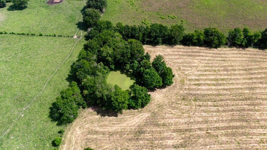 30 acres in Texas County gallery image 4