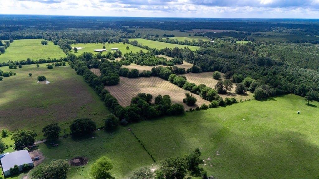 30 acres in Texas County gallery image 3