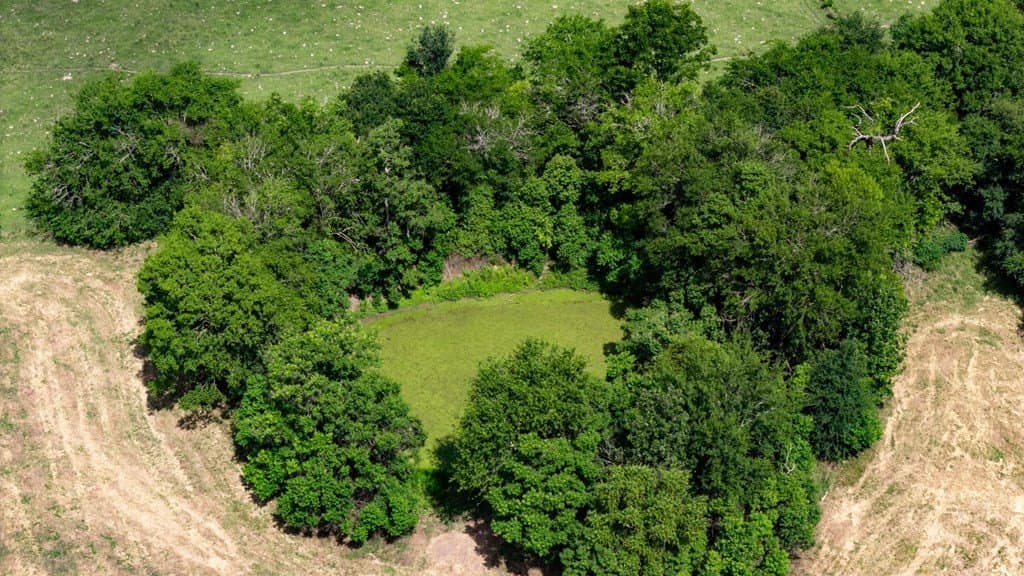30 acres in Texas County featured view