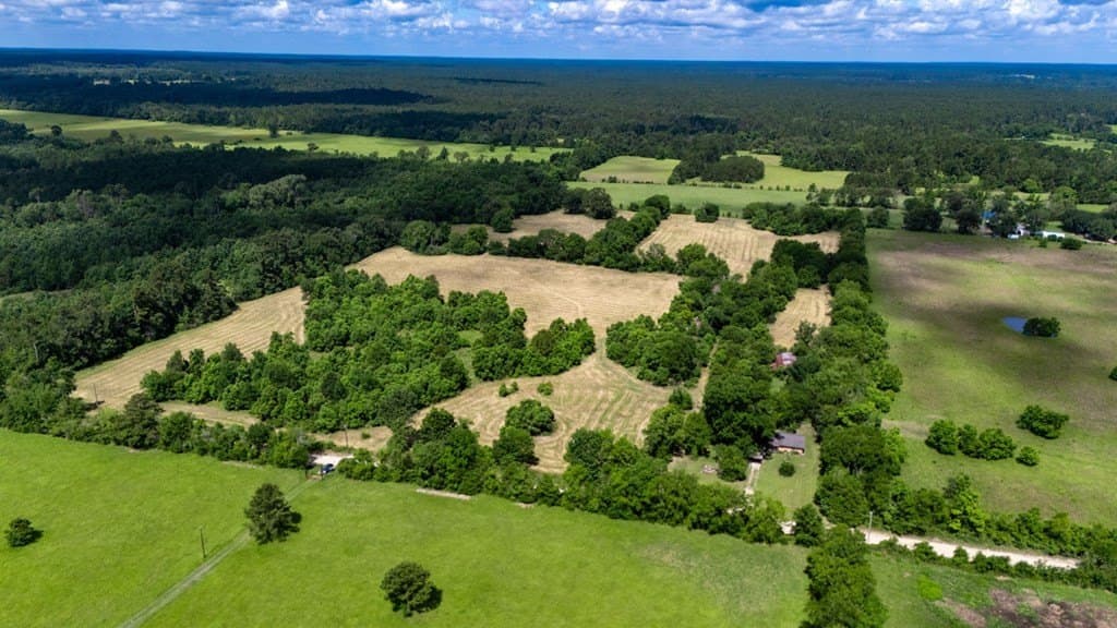 30 acres in Texas County gallery image 2