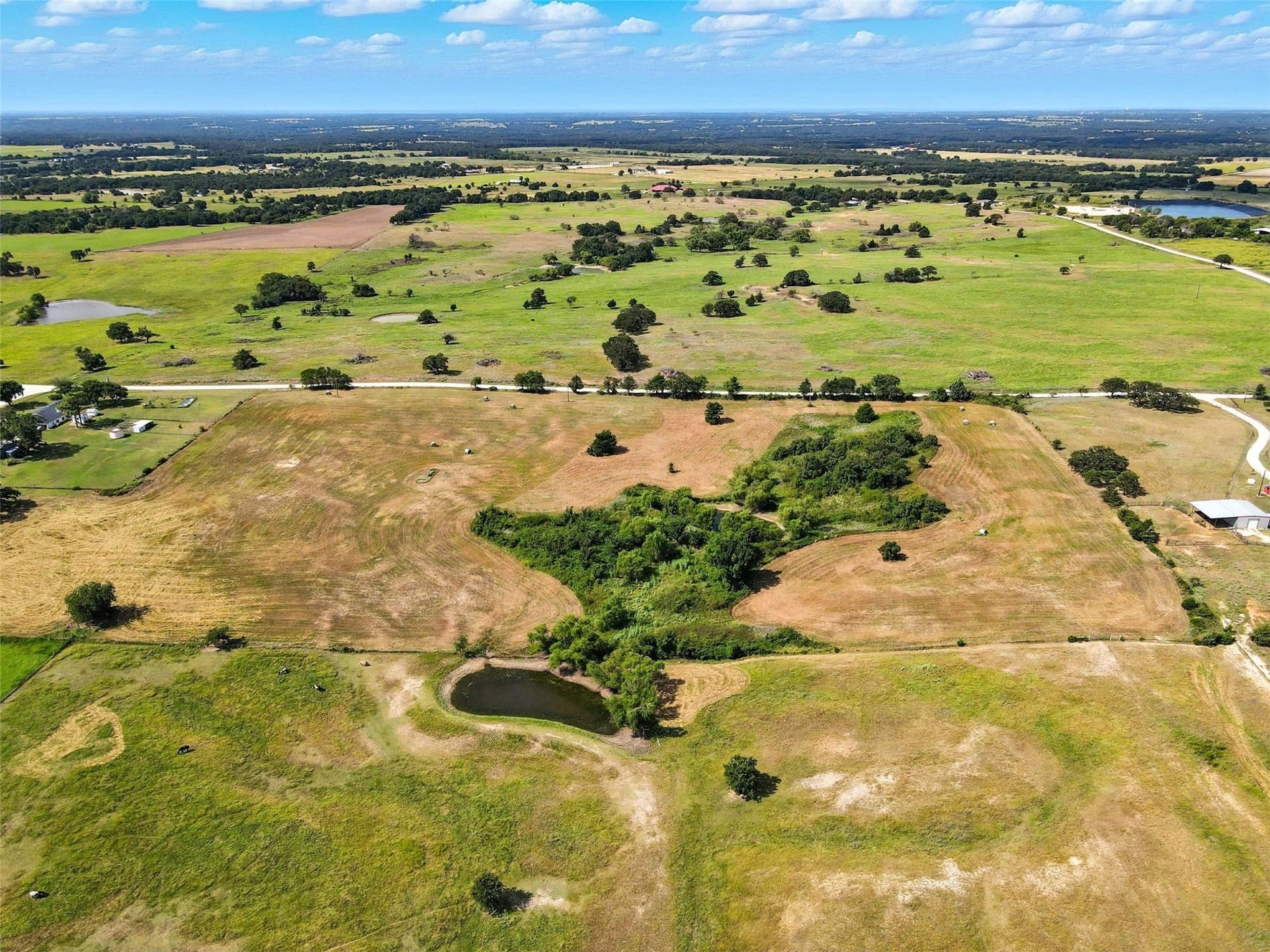 11 acres in Montague County gallery image 4