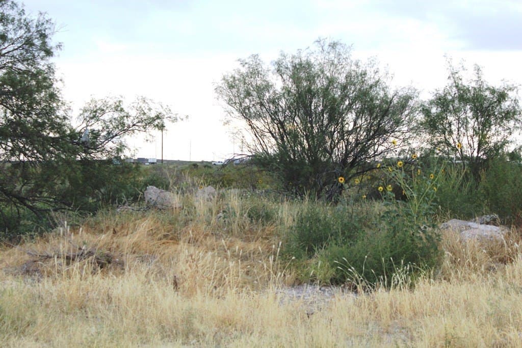0 acres in Pecos County - photo 6
