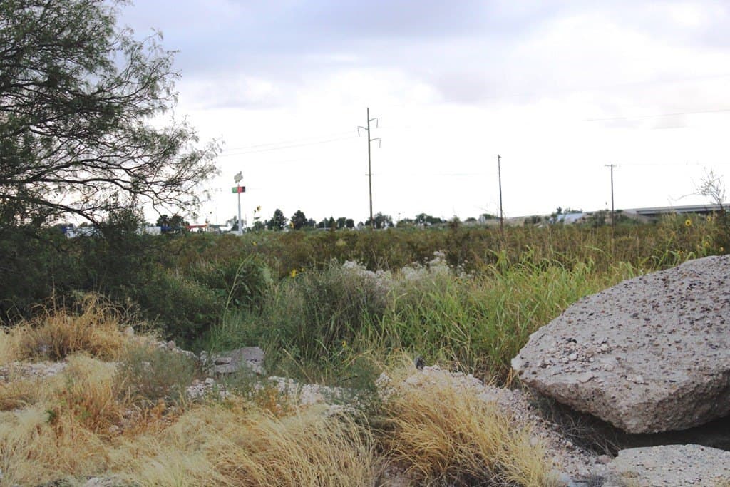 0 acres in Pecos County gallery image 4